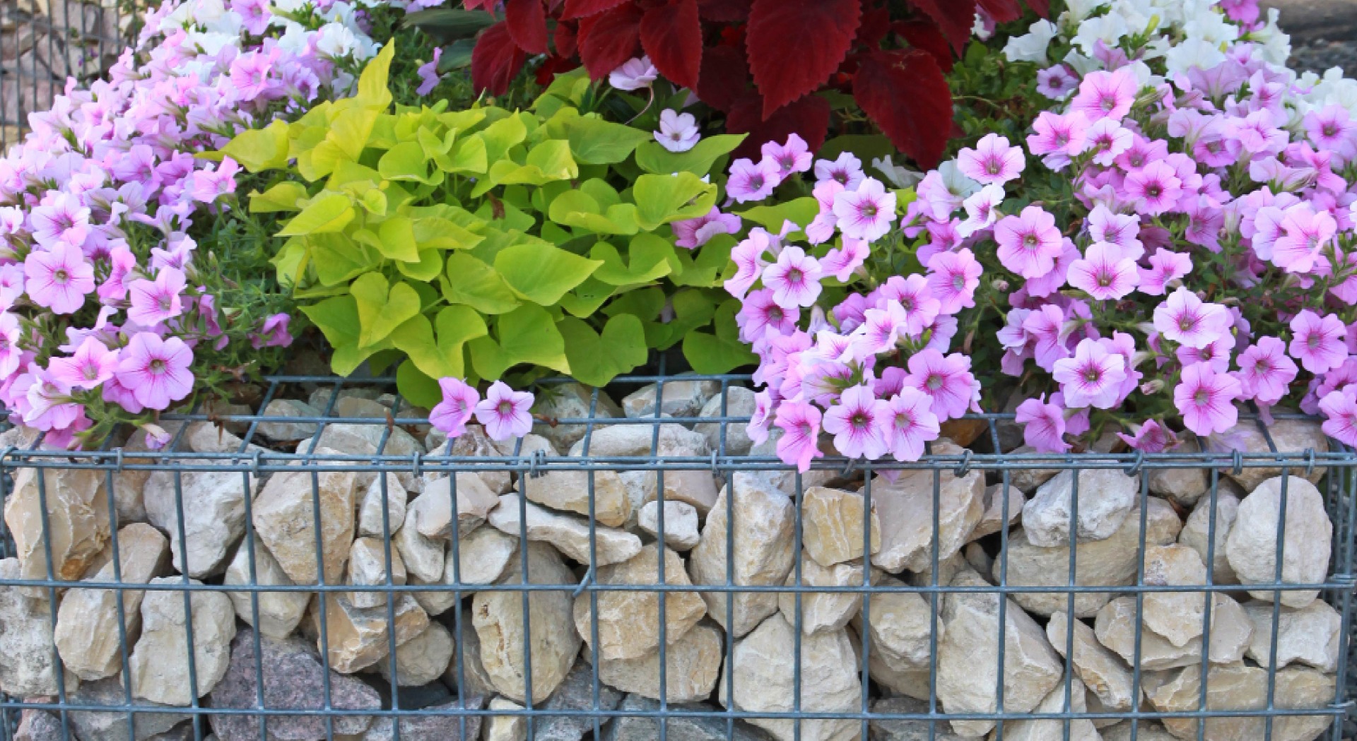 outdoor-planters-gabion-mesh-commercial
