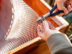 person cutting wire mesh for cloches