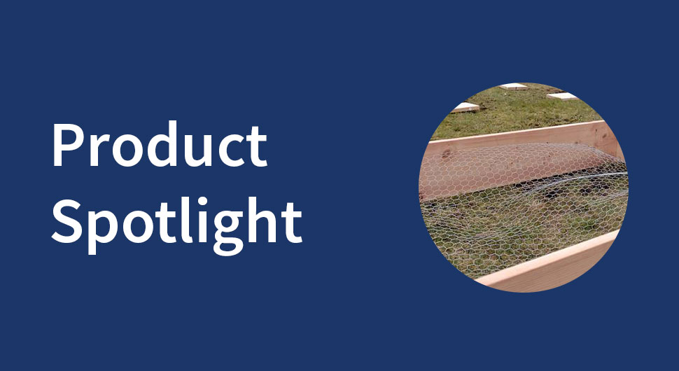 Product Spotlight - Decorative Mesh for Garden Use