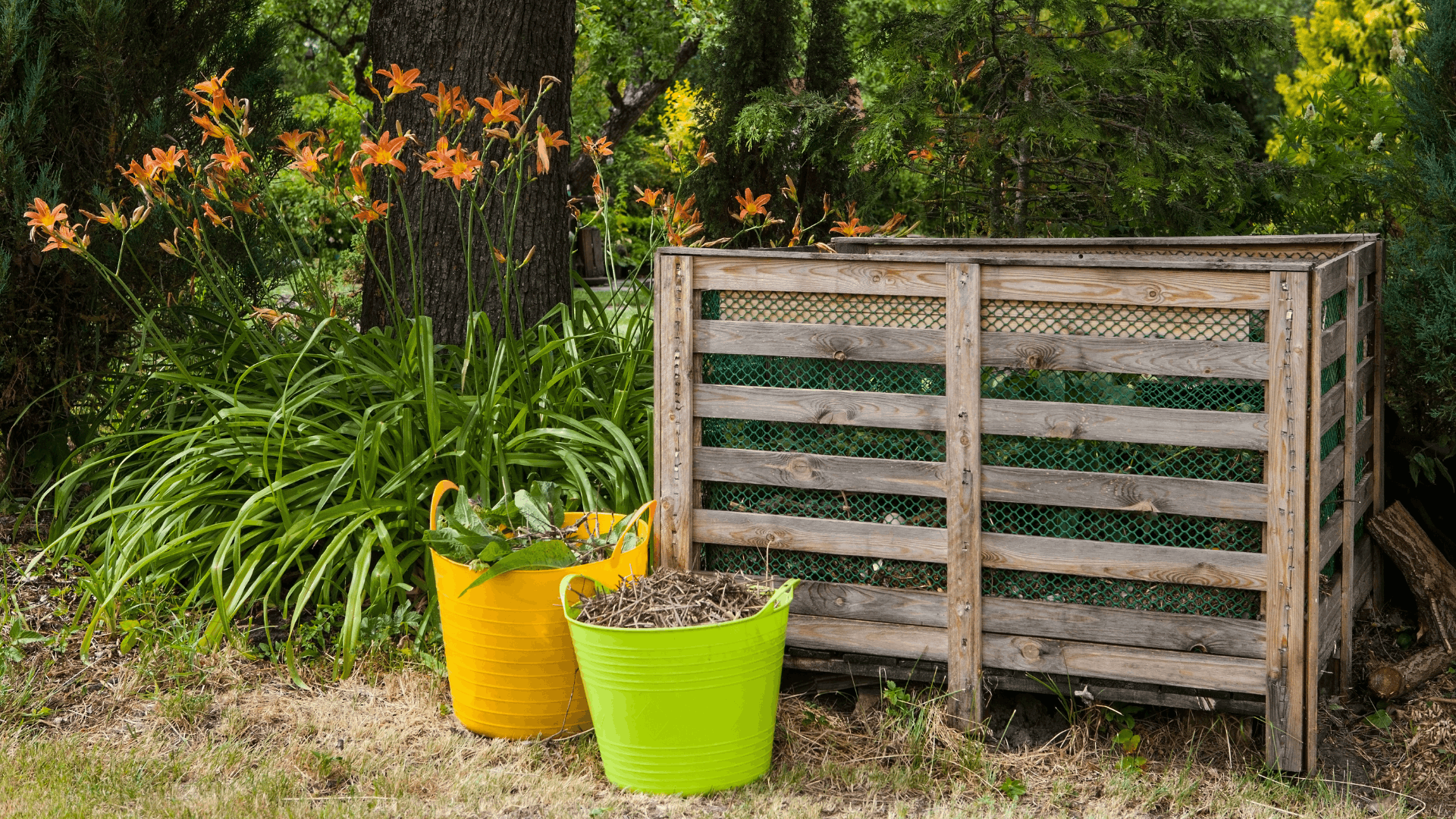 wire mesh compost bin