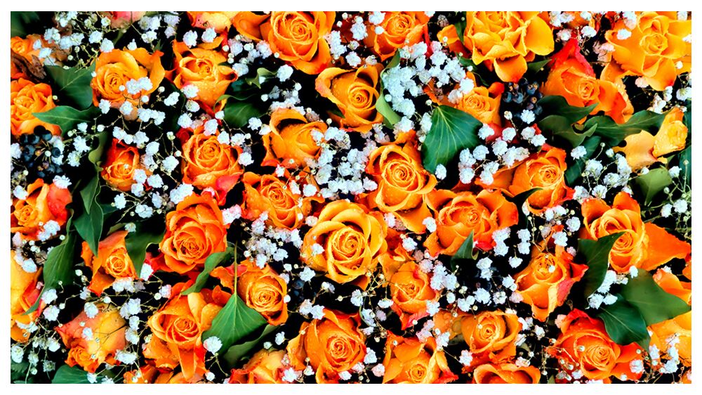 Host Your Own "Big Flower Fight" Using Chicken Wire & Blooms