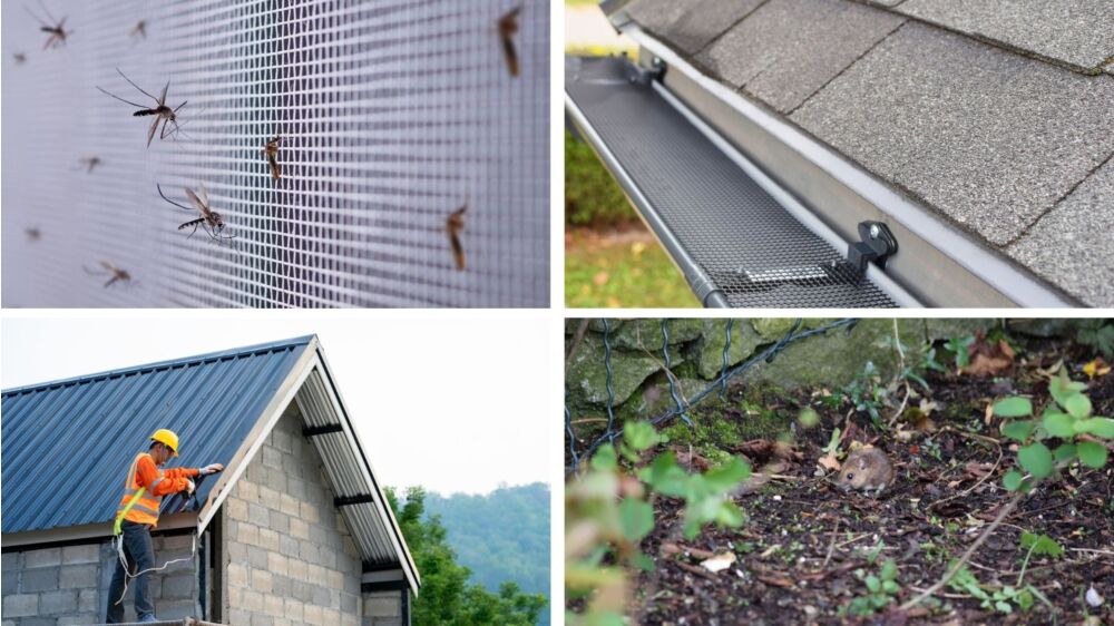 Hardware Cloth for Home Repair: Practical Uses & Tips