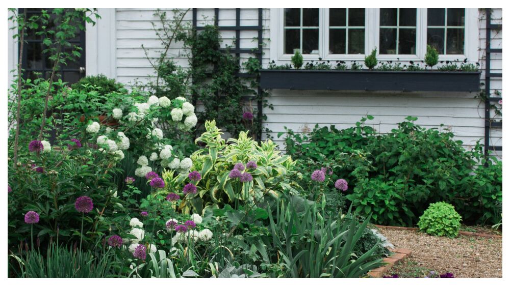5 Tips on How to Install a Wire Mesh Snake Fence