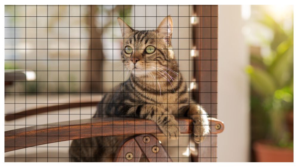 Things to Consider When Building a Catio with Wire Mesh