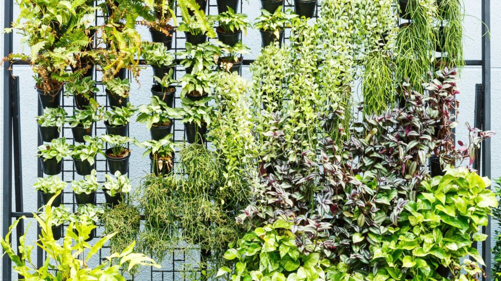 7 Creative Ways for Homeowners to Use Metal Wire Mesh Screens