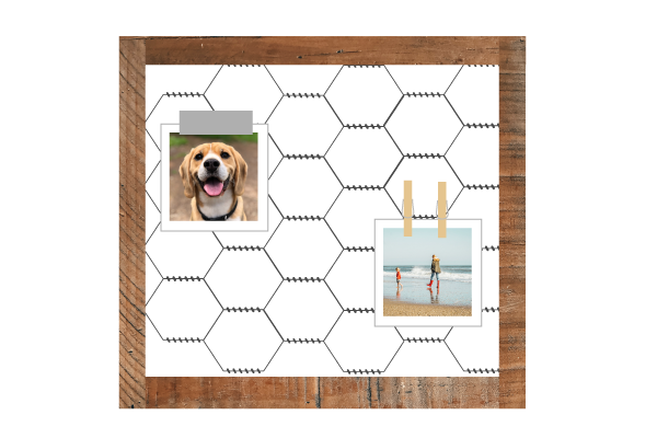 diy-wire-mesh-board-pin-family-photos