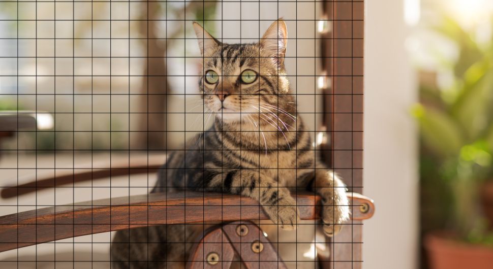cat-looking-outside-catio-diy-wire-mesh