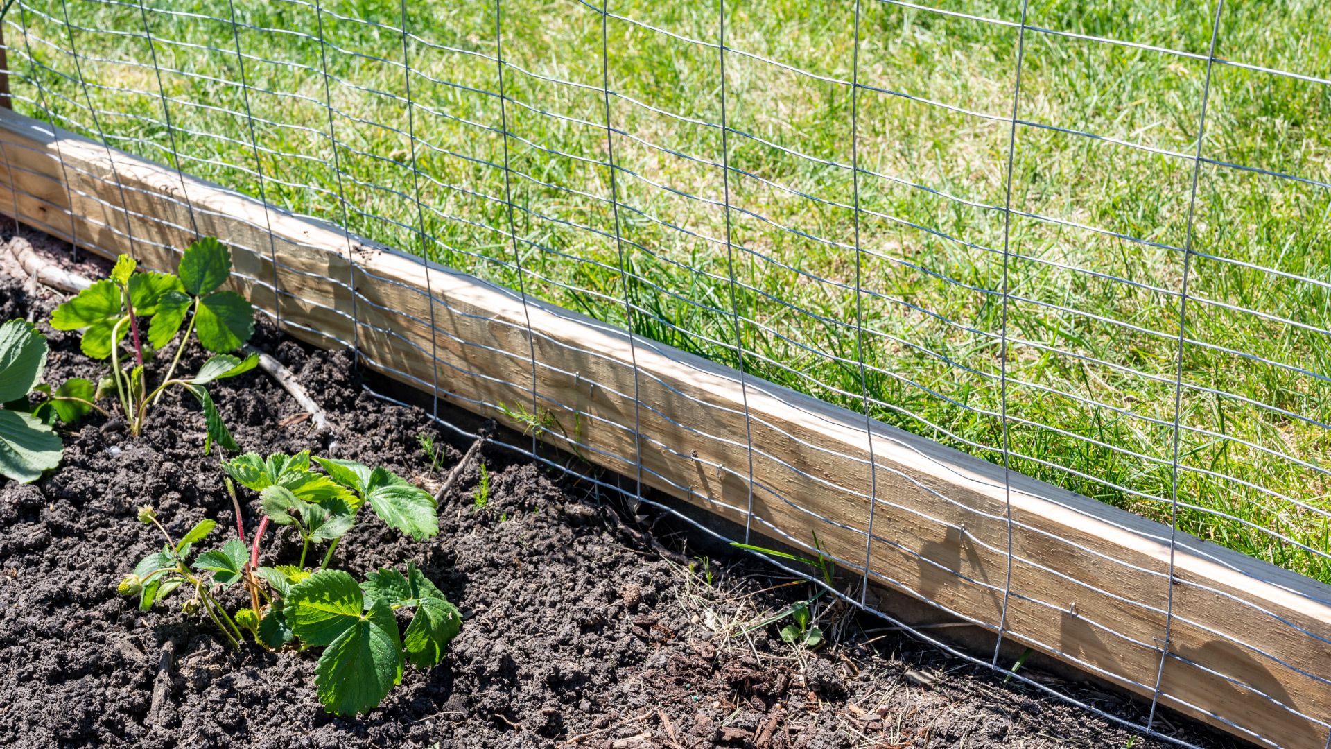 How To Attach Wire Mesh To A Wood Fence how-to-attach-wire-mesh-to-a-wood-fence