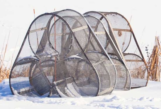 Minnow Traps