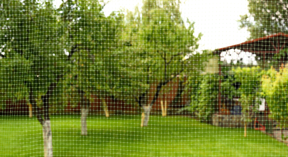 View of a backyard with lush greenery and trees from behind a wire mesh fence.