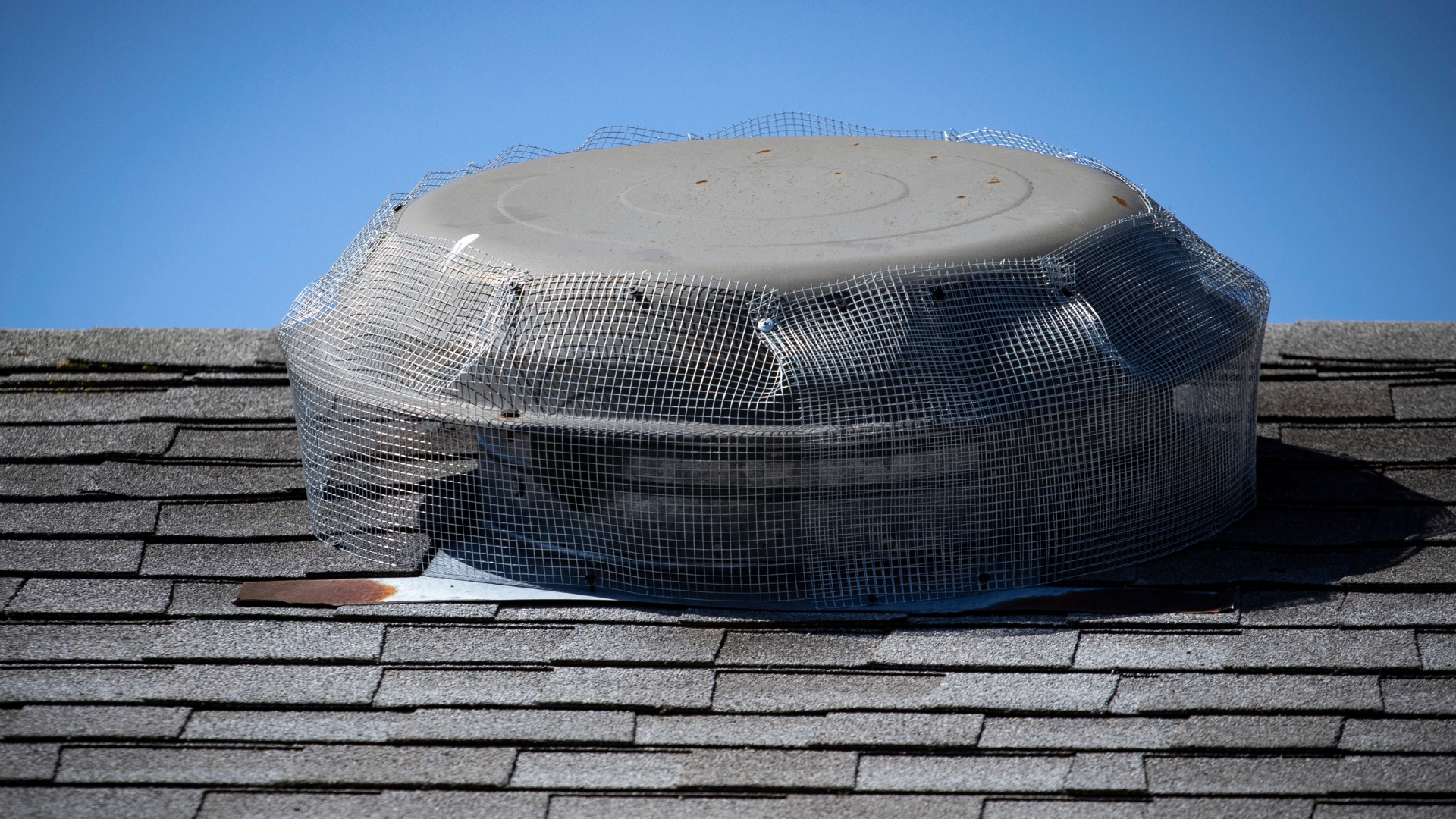Wire mesh installed on roof top attic fan to prevent rodent entry to home/attic.