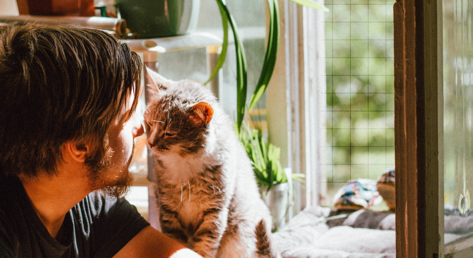 Man snuggles with his cat in a room filled with plants and a sofa.