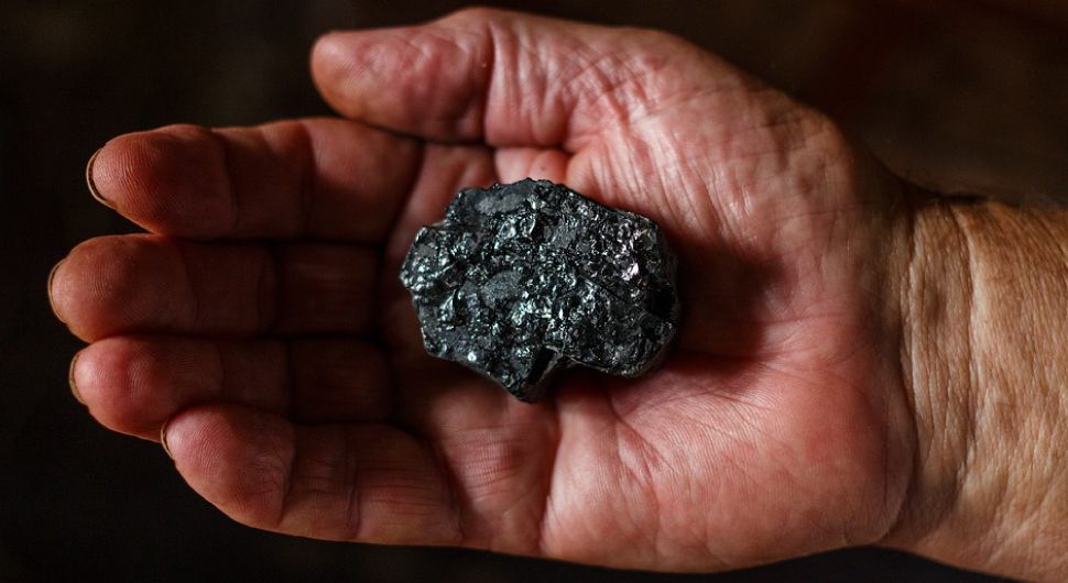Close up of a man's hand holding a piece of coal.