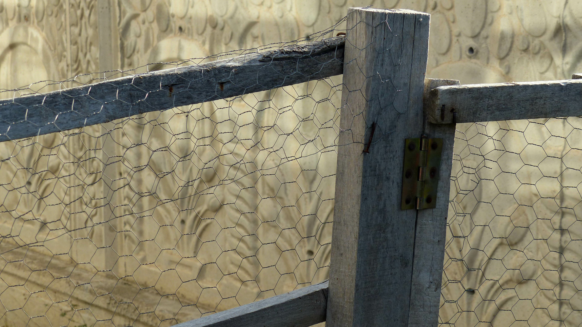 Backyard fence made from chicken wire mesh and a wood frame.