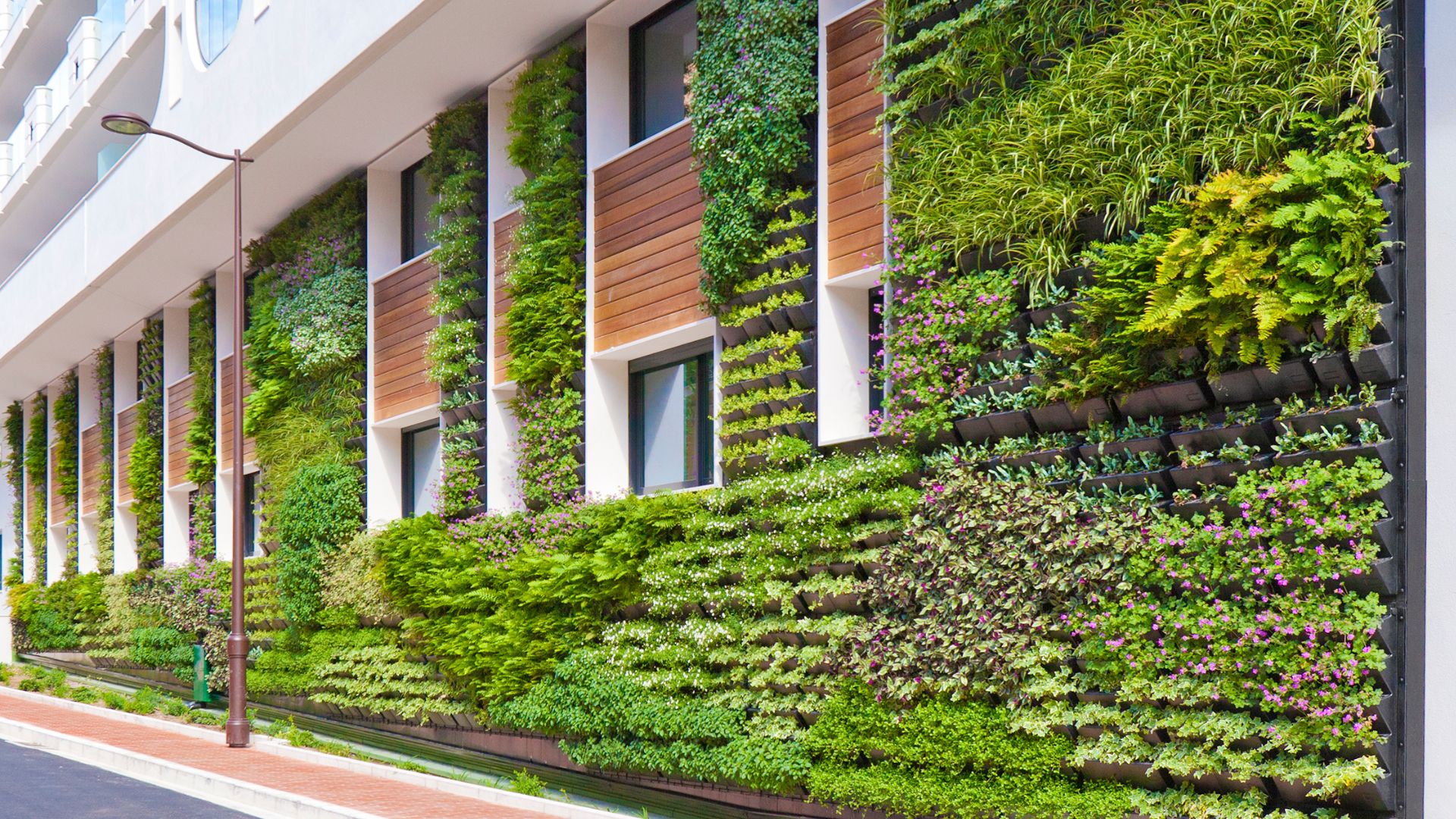 Apartment complex with green walls made from steel mesh.