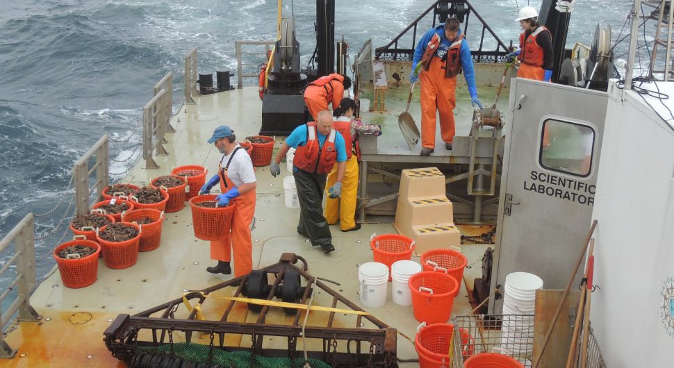 Six employees wearing orange protective gear work on the deck of a marine vessel on which there are orange buckets filled with fish.