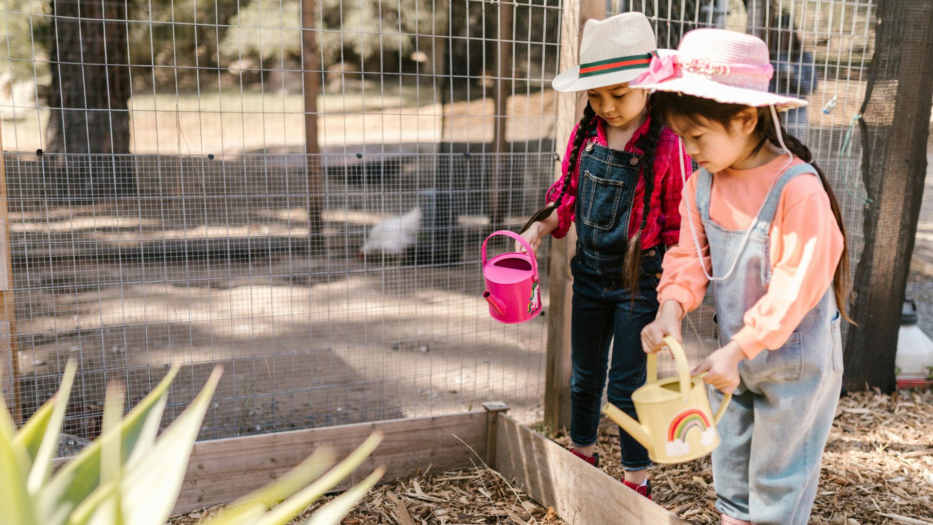Two young girls in brightly colored hats water a garden in their backyard.