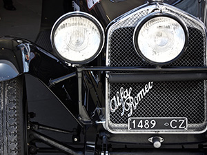 Car grill with wire mesh