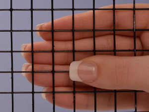 Black poly coated galvanized wire mesh