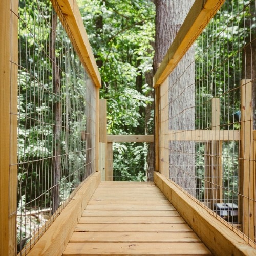 Bridge with welded wire mesh fence panels attached to wooden rails, leading to a forest path with green trees, for pedestrian walking and nature access.