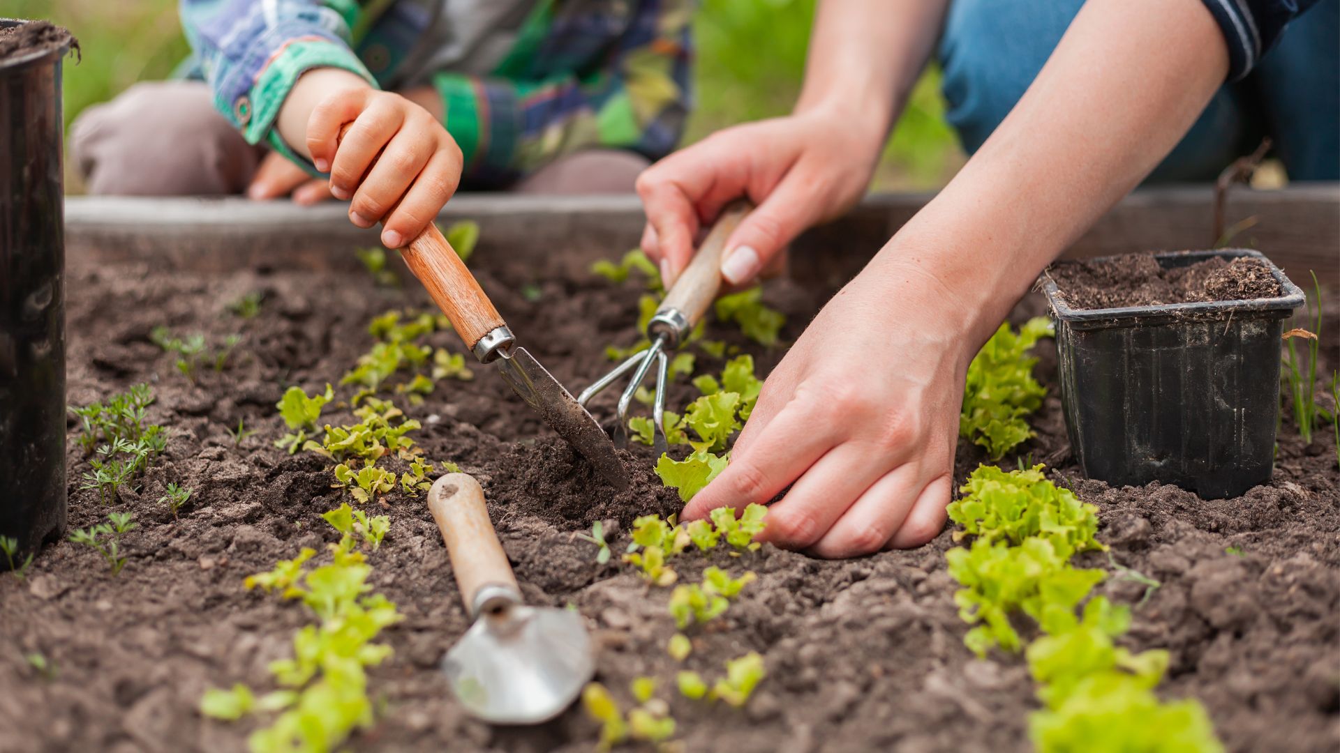 Mother and child plant veggies in a raised garden bed.